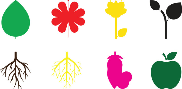 Set of colorful plant icons including leaves, flowers, roots, and fruit