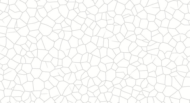 Abstract Geometric Pattern: Irregular Hexagonal Network on White Background