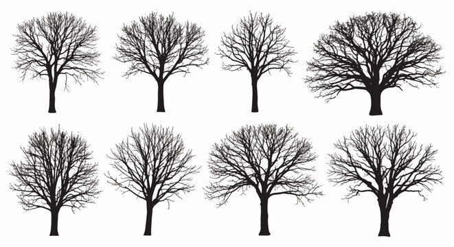 Eight detailed black silhouettes of leafless deciduous trees. Features intricate bare branch structures and diverse crown shapes isolated on a plain white background for design.
