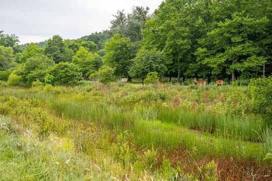Boone, NC Greenway