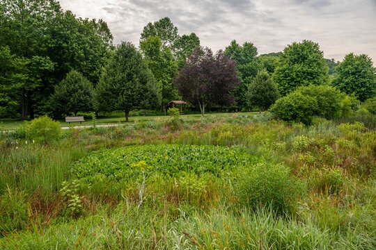 Boone, NC Greenway