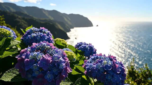 Vibrant blue and purple hydrangea flowers swaying gently in the breeze with a breathtaking coastal mountain landscape and ocean background