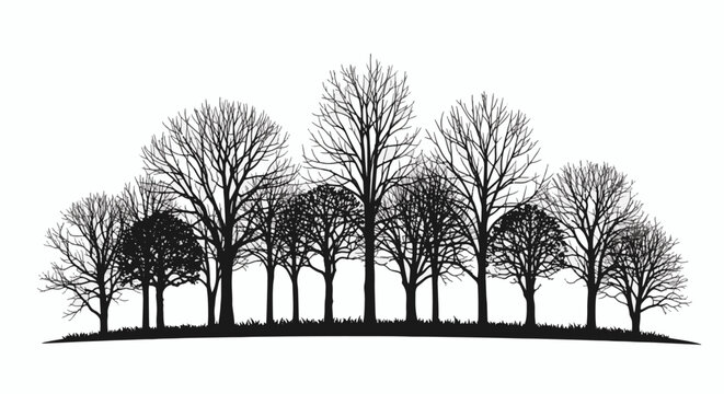 Silhouette of various bare winter trees with leafless branches and twigs standing on a grassy horizon, isolated black nature vector-style graphic on a plain white background for design.
