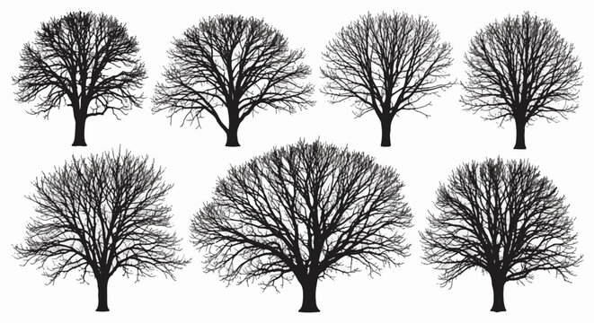 Collection of seven detailed leafless tree silhouettes with intricate bare branch structures. Black deciduous tree outlines isolated on white for winter and autumn graphic design.