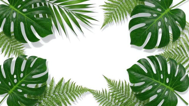 Vibrant tropical leaves and palm fronds gently swaying on a clean white background creating an elegant nature border frame