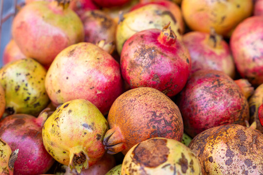 Pile of ripe pomegranate at an outdoor market, red and green colored skin, exotic autumn fruit concept