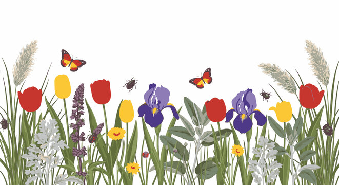 Horizontal botanical illustration of a steppe flower border with red and yellow tulips, purple irises, feather grass, butterflies, and beetles on a clean white background.