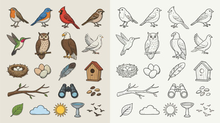 Fototapeta premium Collection of colorful and black and white illustrations of various birds, nests, eggs, feathers, birdhouses, and related items.
