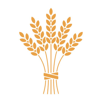 Flat vector illustration of a wheat bundle