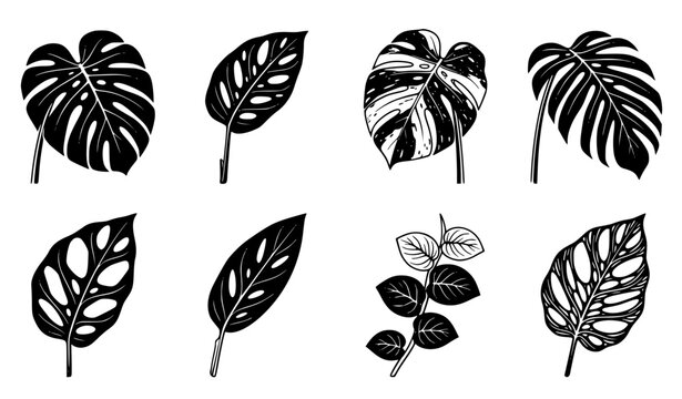 Tropical Monstera Leaf Icon Set with Black and White Foliage Symbols for Botanical Patterns, Summer Branding, and Modern Nature Vector Designs