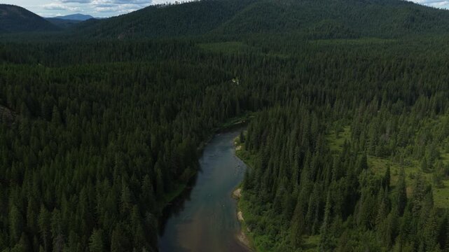 Aerial of Priest River in the Idaho Panhandle in Bonner County in summer in remote dense forest