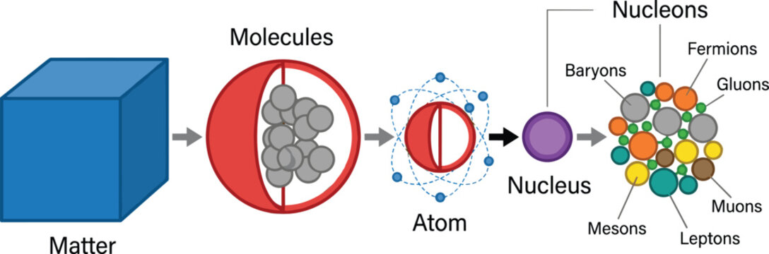 Matter to particle physics diagram, atomic structure and subatomic hierarchy illustration, scientific education infographic, editable vector learning template