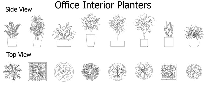 Office Interior Planters CAD Blocks Collection Side View and Top View for Workplace Design, Architectural Floor Plans and AutoCAD Drawings