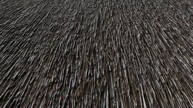 Detailed Traditional Thatched Roof Texture Background