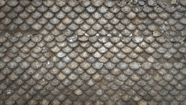  fish scale pattern background