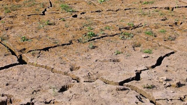 Deep Cracks in Dry Mud Surface After Hot Weather 180fps Captured in Cinematic High Detail Footage