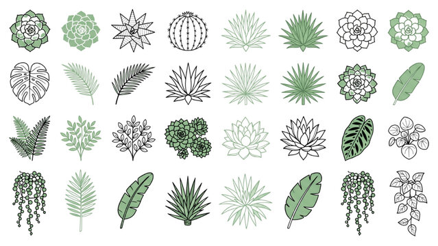 A collection of various plant and flower illustrations in top-down view, including succulents, cacti, and leafy plants, presented in both line art and colored green
