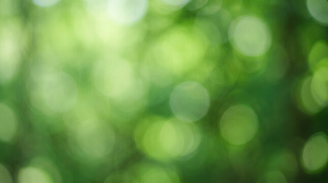 Abstract green nature background with soft bokeh and copy space.