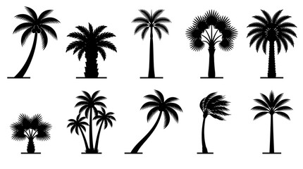 Fototapeta premium Set of ten black silhouette palm trees of different shapes and species.