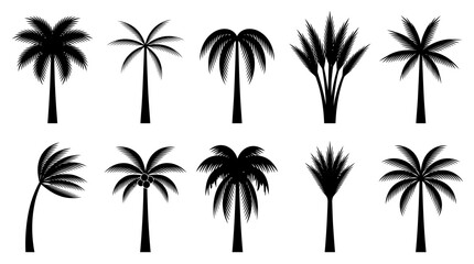 Fototapeta premium Set of ten black silhouettes of tropical palm trees.