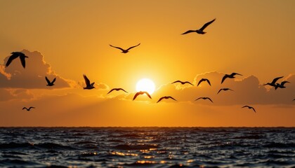 Fototapeta premium A graceful flock of white birds flying across a golden sunrise sky above calm ocean waters