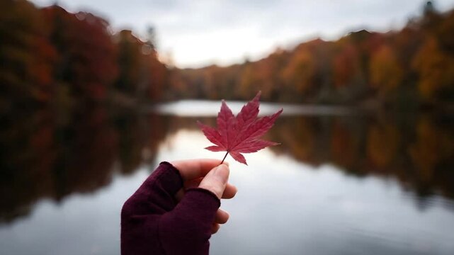 Hand Holding Red Maple Leaf With Blurred Autumn Lake Background