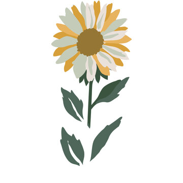 Flat vector illustration of a sunflower with green leaves