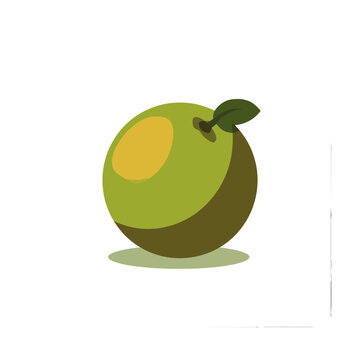 Green Lime Fruit with Leaf Vector Illustration