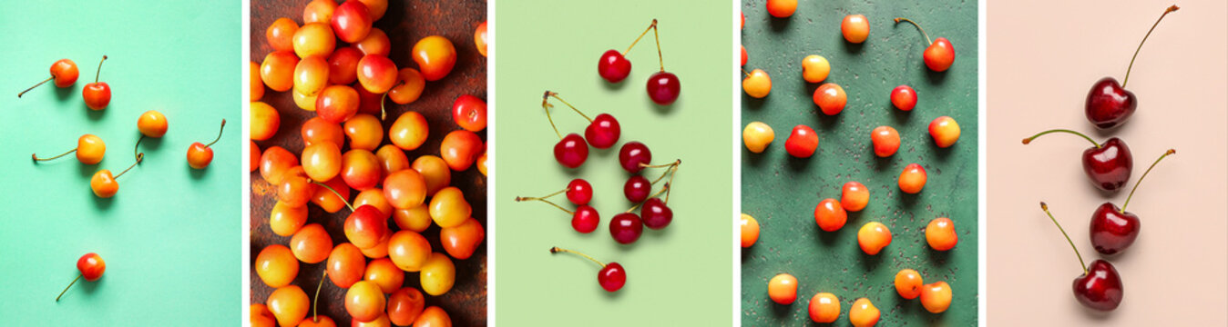 Various cherries on colorful backgrounds