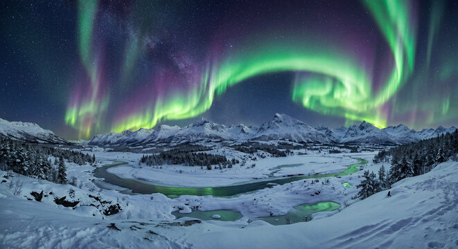 Aurora Borealis Over Snowy Landscape: A breathtaking panorama of the Northern Lights dancing in vibrant hues of green and purple across a starlit sky.