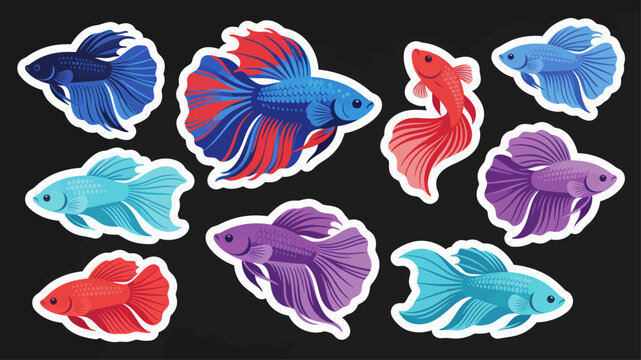 Vibrant Siamese Fighting Fish Illustration Set with Flowing Fins