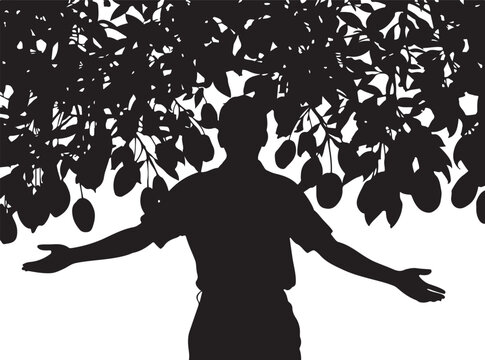 Silhouette of a man under a tree with fruit