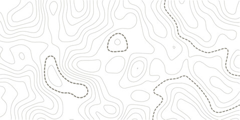 Fototapeta premium Neutral Topographic Map Background, Soft Contour Lines Geographic Pattern