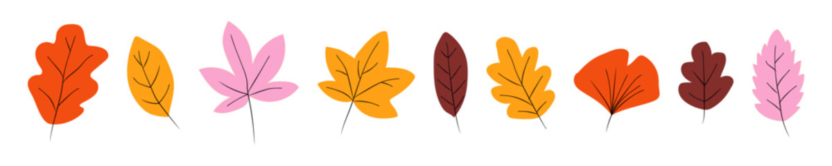 Hand drawn doodle fall leaves vector collection, loose ink sketchy autumn foliage in various shapes including maple, oak and acorn forms. Seasonal nature concept illustration graphic set © Sunil