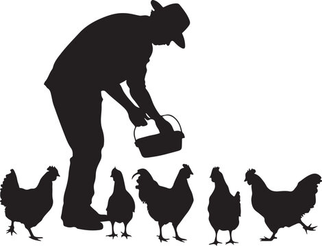 Silhouette of a man feeding chickens farm