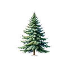 Obraz premium Watercolor Illustration of a Green Fir Tree isolated on a transparent background