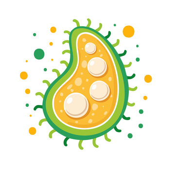 Flat illustration of a bacteria cell with transparent background