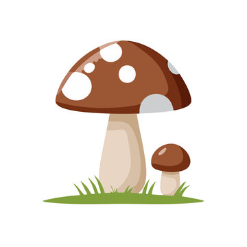 Flat illustration of a brown spotted mushroom with baby mushroom on