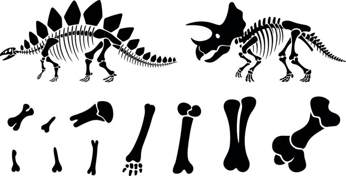 Dinosaur skeleton silhouettes set with stegosaurus triceratops fossils and animal bones isolated on white background vector illustration