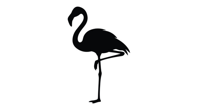 Flamingo silhouette vector illustration, black tropical bird icon on white background, standing exotic water bird profile for summer design