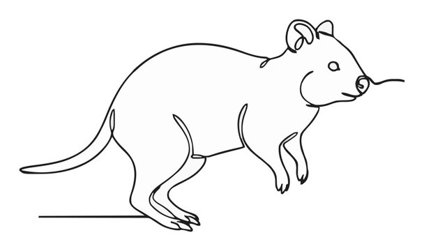 Quokka running minimalist line art illustration. Generative AI