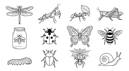 Insect vector icon set, black and white bug illustrations, nature and garden pest collection, detailed entomology graphics for educational resources and design projects © Asma