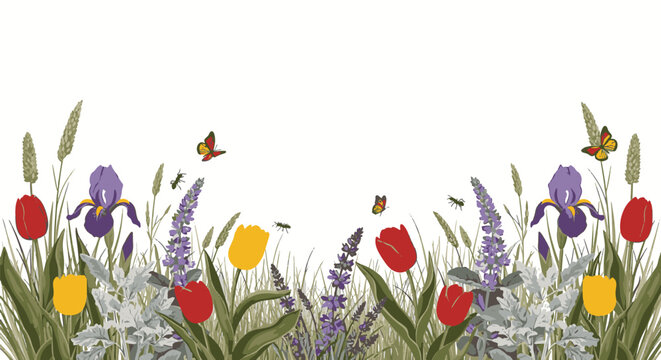 Botanical border illustration featuring red and yellow tulips, purple irises, lavender, and wild grasses with butterflies and ants on a white background for spring floral designs.