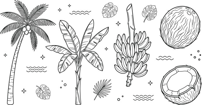 Tropical palm tree icon set with banana plants whole coconuts monstera leaves exotic fruits and linear outline elements