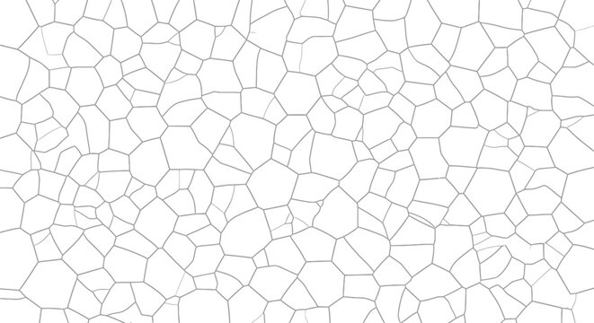 Abstract Geometric Pattern, Cellular Structure, Organic Network Background
