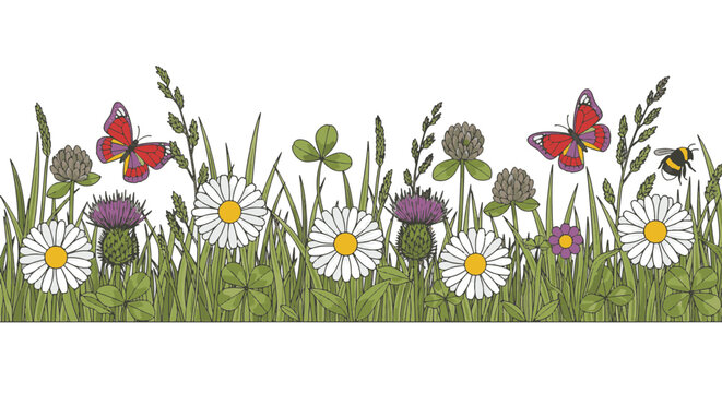 Horizontal floral border illustration featuring white daisies, purple thistles, green clover, wild grasses, red butterflies, and a bumblebee isolated on a plain white background.