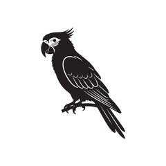 Fototapeta premium parrot on a white background