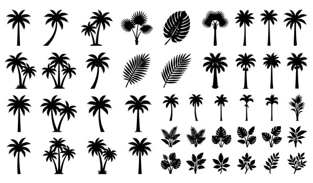 Black tropical palm tree and jungle leaf silhouette vector set with coconut betel nut botanical elements isolated on white background
