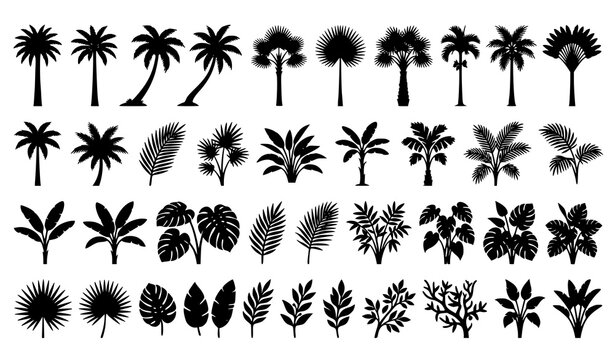 Tropical palm tree and jungle leaf silhouette vector collection with coconut and betel nut botanical elements isolated on white background