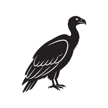 vulture vector illustration